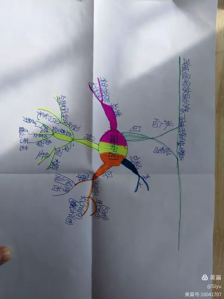 第二实验小学四年级五班《颐和园》思维导图学生作品展